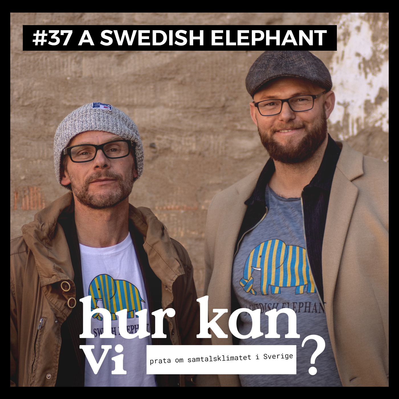 #37 A Swedish Elephant