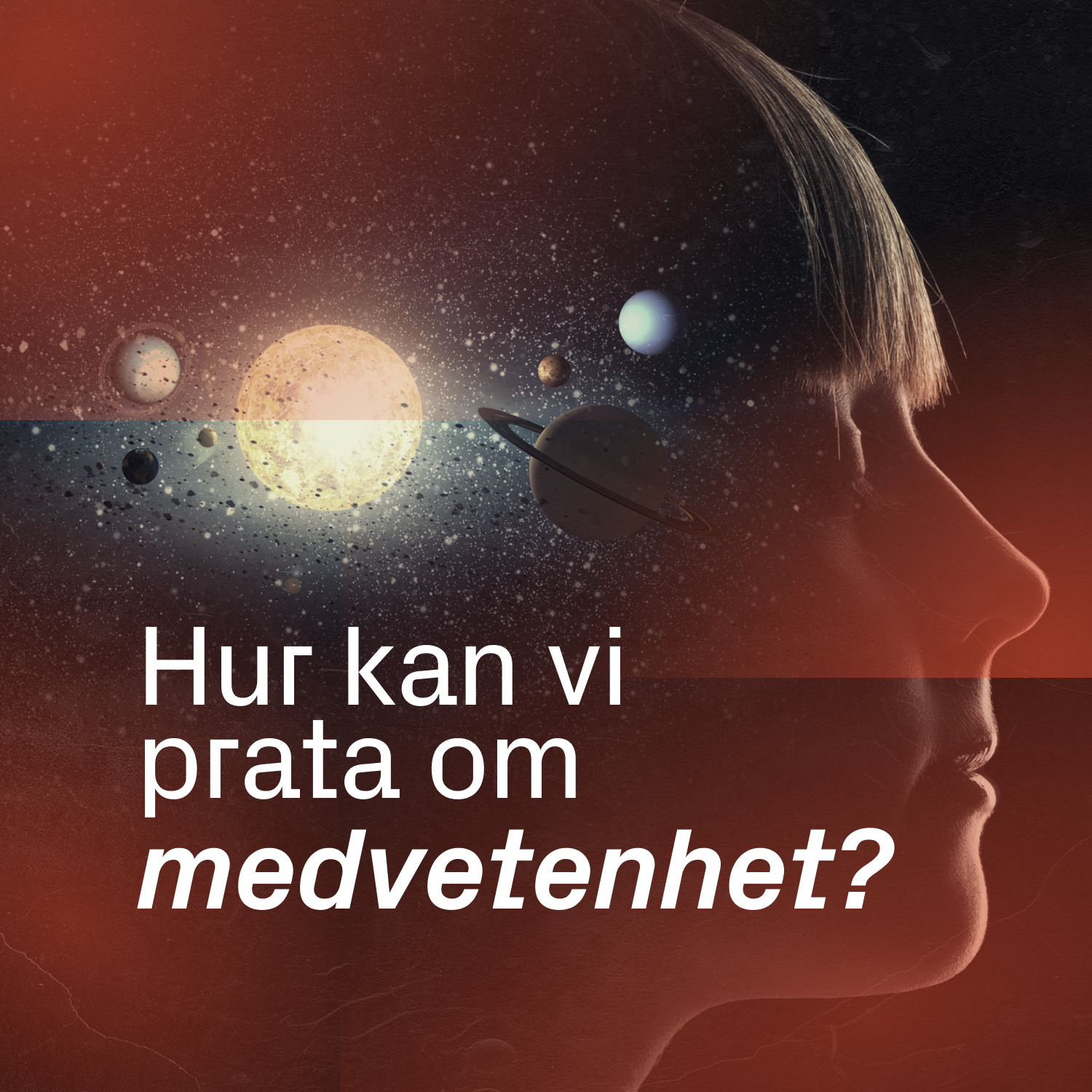 Hur kan vi prata om medvetenhet?